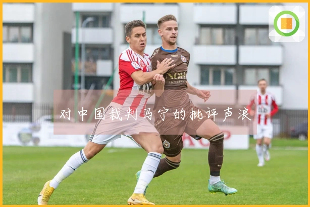 对中国裁判马宁的批评声浪